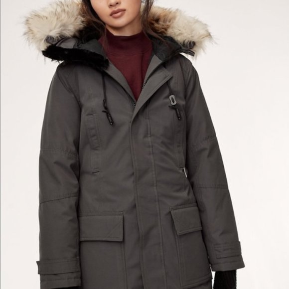 Aritzia Golden by TNA Down Bancroft Parka Grey - Picture 2 of 8